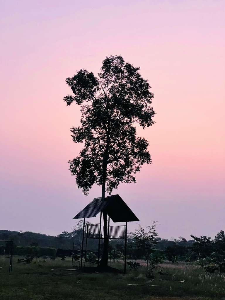 whatsapp image 2025 11 18 at 2.45.16 pm