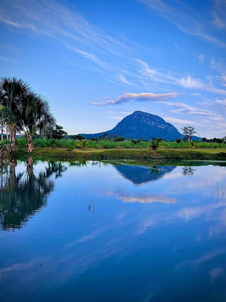 1a748664 2ab9 411d 865e 5f125f4f4a69